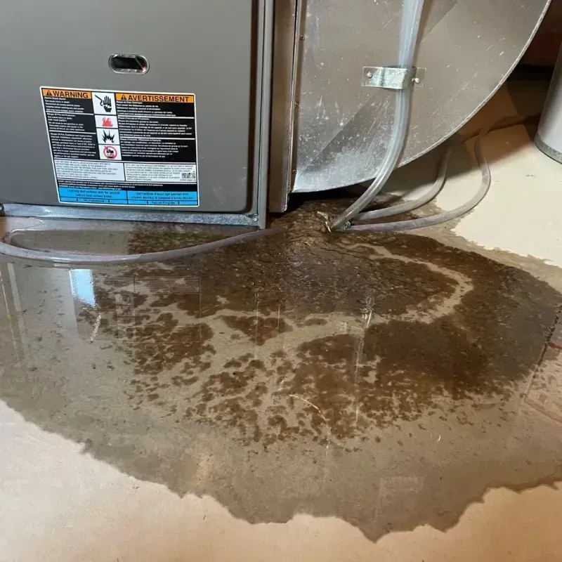 Appliance Leak Cleanup in Sherman County, OR